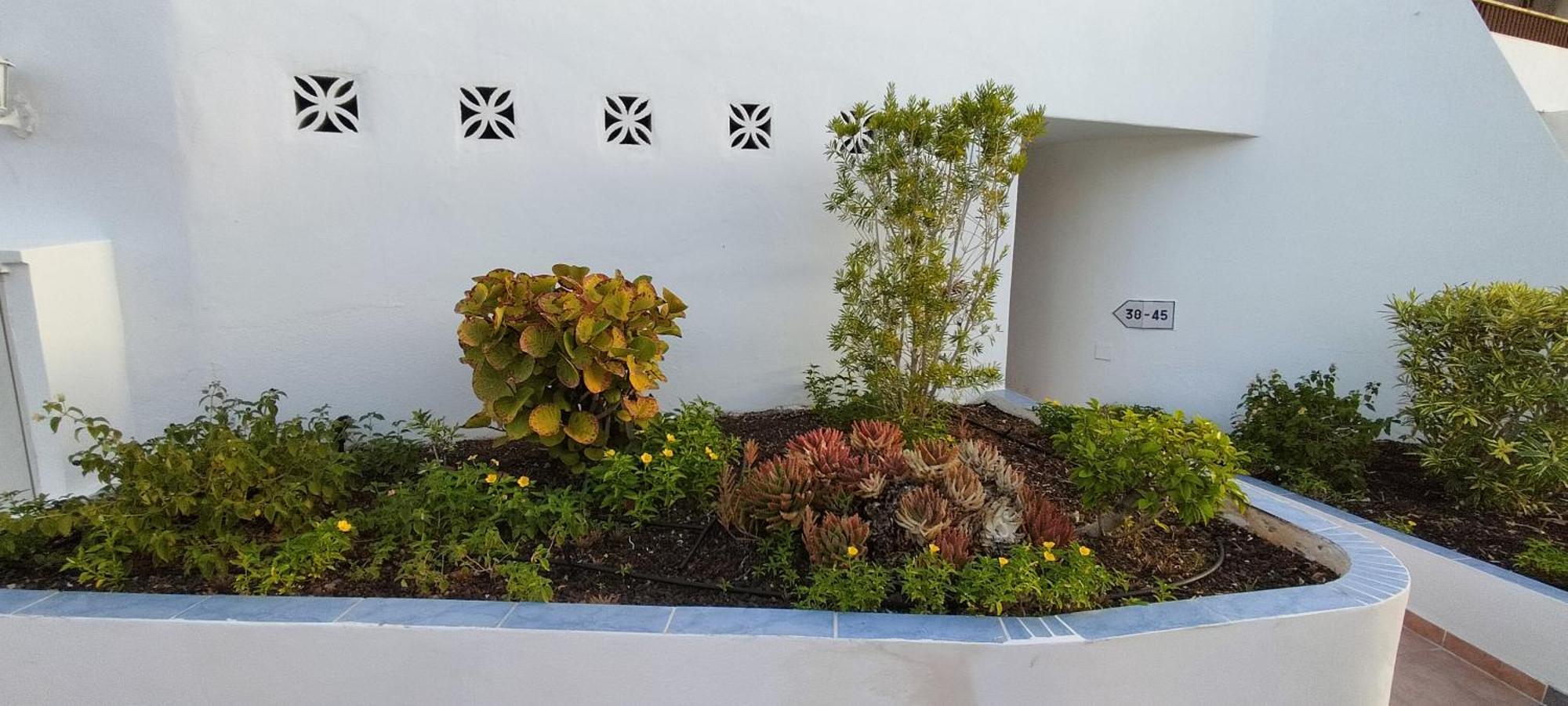 Ocean View Near The Beach Costa Adeje Exterior foto